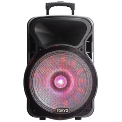 PARLANTE TOKYO PARTY 15" BATERIA 6600MAH BLUETOOTH  --
