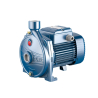 PEDROLLO CPM158 1HP 220V 50H CENT. MOD 00158M  --