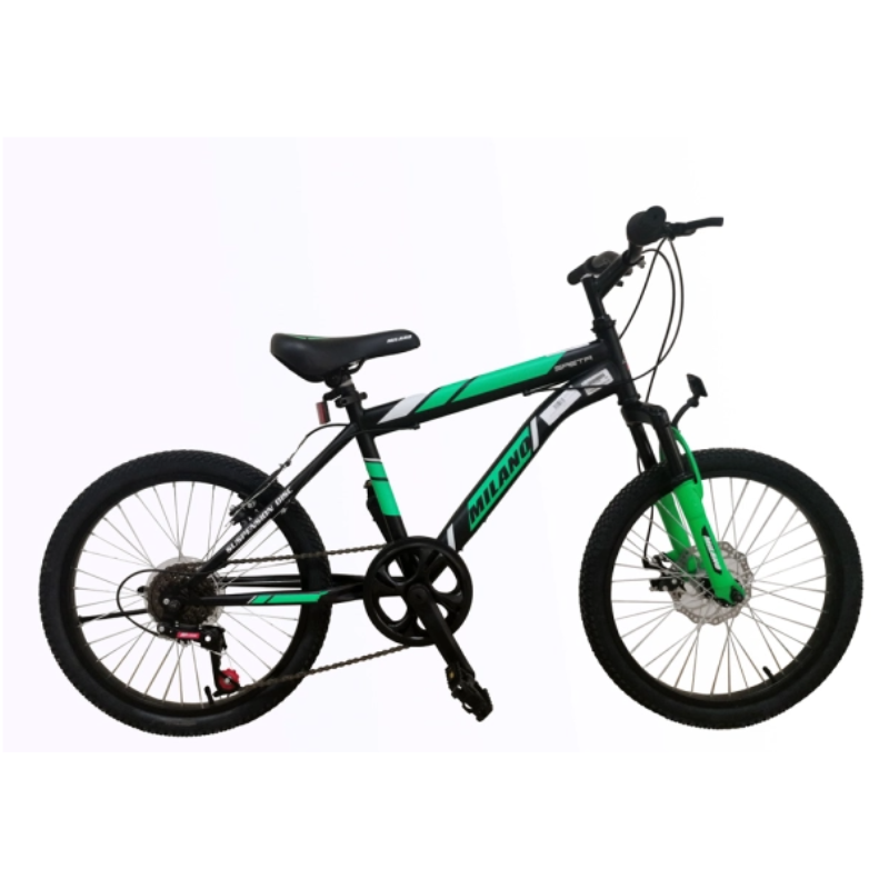 BIC.MILANO SAETA 20"SUS SWING VERDE  --