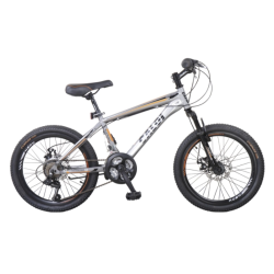 CALOI RIDER SPORT 20" PLATA  --