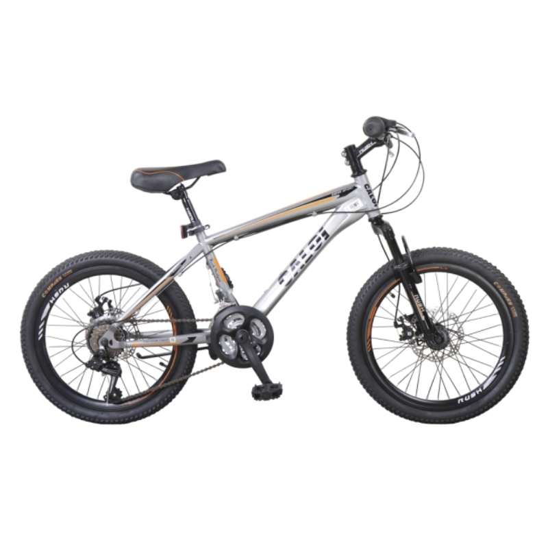 CALOI RIDER SPORT 20" PLATA  --