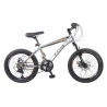 CALOI RIDER SPORT 20" PLATA  --